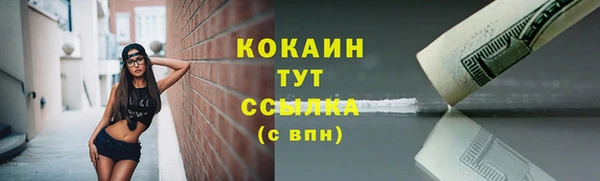 тгк Кукмор