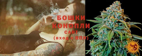 тгк Кукмор
