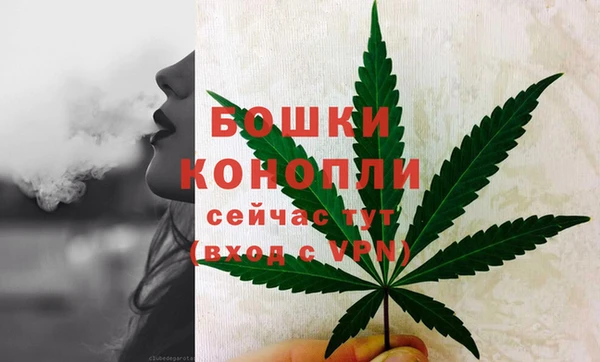 тгк Кукмор