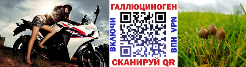 Галлюциногенные грибы прущие грибы Ессентукская