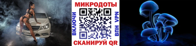 купить закладку  Ессентукская  Галлюциногенные грибы Psilocybe 